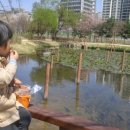 구갈레스피아_M 이미지