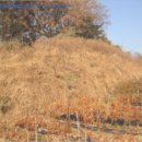 석곡1동 이미지