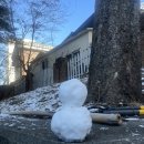 [1月下] 돼지병 말기