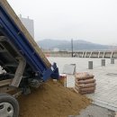 레미탈;시멘트;백시멘트;보도블럭;마사토;모래 이미지