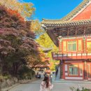 산들가는길 | 단양 구인사 단풍 실시간 30%.. 입장료부터 주차, 가는길 후기