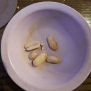 미안호프 이미지