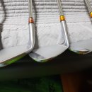 아이언피쉬 이미지