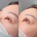 [천안 두정동 토탈뷰티샵 뷰티그레이] 속눈썹 연장 후기 !깔끔한 인테리어와 꼼꼼한 시술 내돈내산 뷰티...