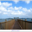 전라남도 신안군 안좌면 퍼플교 이미지