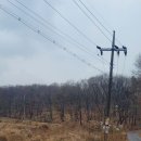 상업용 101 | 용인카페맛집 친절한 레드브릭101 방문 후기