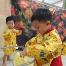 치자로 물들이기 이미지