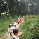 안중이솝어린이집 이미지