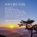 12월31일-켜켜이 쌓인 시간들… 이미지