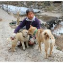 말골농장 이미지