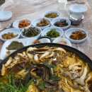 월송가든 황토방 펜션 | 월악산 송계계곡 월송가든 42년 전통 백숙맛집