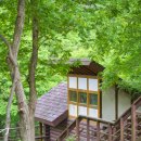 느티골길 이미지