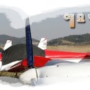 한서안전주 Daum카페