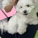 멍그라미 이미지