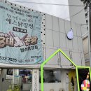 속초 맛집 리스트 추천! 대게 춘길호, 예스닭강정, 속초진짜순대, 물회 봉포머구리집, 88생선구이