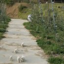 님들아 친구가 카톡 프로필 업데이트한거 이미지