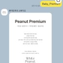 스튜디오피넛 | 내돈내산 아기 돌 사진 대성공 후기! 자연광 맛집 ‘화이트피넛스튜디오’에서 인생샷 건지고 온 썰...