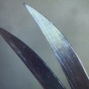 민진양행 이미지