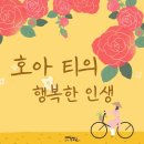호아 이미지