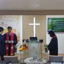 대한예수교장로회 새빛교회 이미지