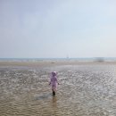 27개월 아기랑 5월 태안 여행 삼봉해수욕장 안면카트체험장 수산시장 물놀이 후기