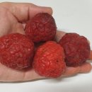 대웅농장 이미지