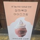 단양에서만 맛볼 수 있는 조합! 구경시장 흑마늘소금빵 내돈내산 후기