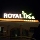 로얄트리 이미지