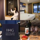 더 스테이 휴 명동 | 서울 가성비 호텔 패키지 보코 서울 명동 호캉스 조식 럭키스테이