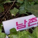 에버그린 유치원 이미지