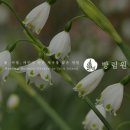 방림원 식물원 이미지