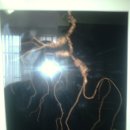 세화당한의원 이미지