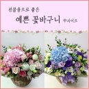 지소플라워 이미지