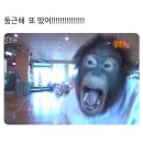 19살의 마지막
