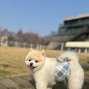 간식카페참 이미지