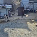 화흥농장 이미지