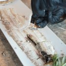 제주도해녀세자매 이미지