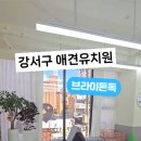 브라이튼독 네이버블로그