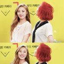 지빠 Daum카페