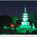 산청항노화엑스포 ‘동의보감촌’ 새단장 착착 진행···내년 치유의 숲 개장 이미지