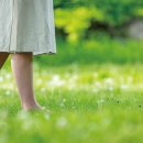 순천만정원하우스 이미지