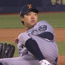 이글스