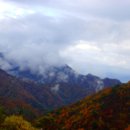 계절그리기 이미지