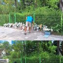 서현역.서현고가차도 이미지