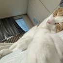 씨유 대전복수빌리지점 | 서윗카오스 (근래 내 속이 그랬어...)