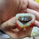 UR(의정부시)-[용민로]-상-117 | 의정부 떡선물세트 답례떡 떡맛스러움 방문후기