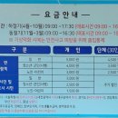 바다부채길1 이미지