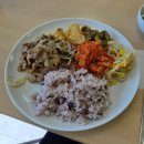 하나로식당 | 속초농협하나로마트 엑스포점 구내식당 후기!