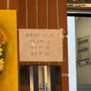 수원 인계동 수원시청 돼지막창 맛집 <태영생막창> 내돈내산 후기