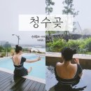 청수곶 | [제주도 독채 펜션] 비 오는 날의 제주 감성 가득한! 청수곶 후기